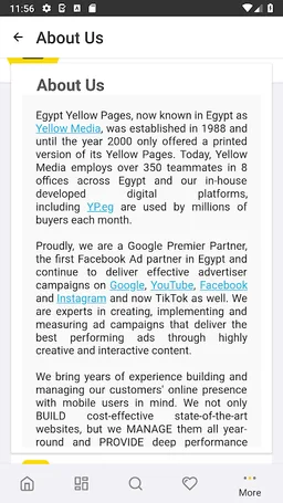 Egypt Yellow Pages screenshot 16