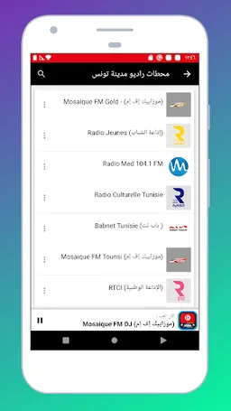 Radio Tunisia FM: Radio Online screenshot 3