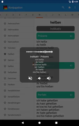 Deutsche Konjugation screenshot 10