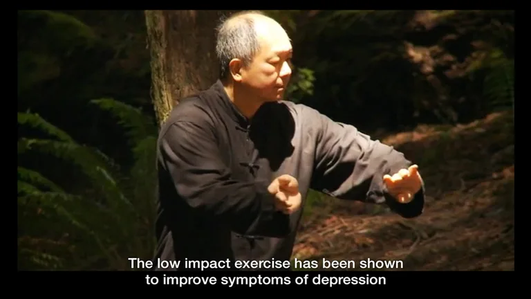 Yang Tai Chi for Beginners 1 b screenshot 12