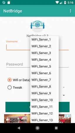 NetBridge VPN screenshot 2
