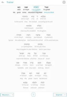 Kaddish Assistant screenshot 15