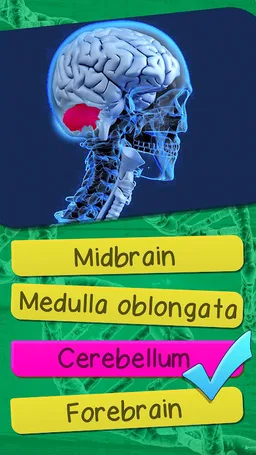 The Human Anatomy Quiz App On Human Body Organs screenshot 8