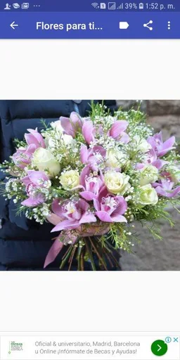 Ramos de flores hermosos screenshot 2