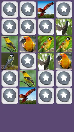Birds Memory Game screenshot 3