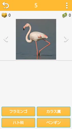 Guess Animal screenshot 11