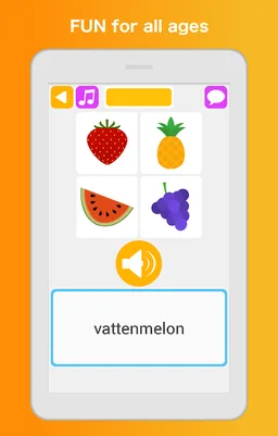 Learn Swedish Language screenshot 4