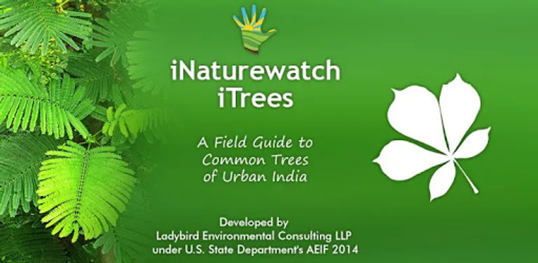 iTrees cover image