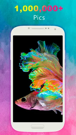 Betta Fish Wallpaper screenshot 7