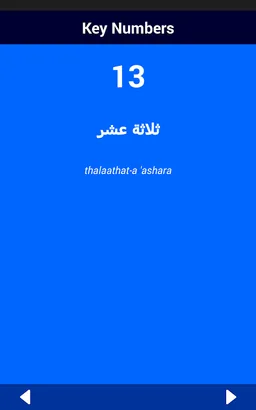 Arabic Number Whizz screenshot 12