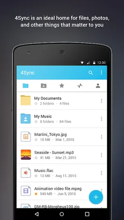 4Sync screenshot 1