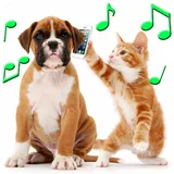 Animal Ringtones icon