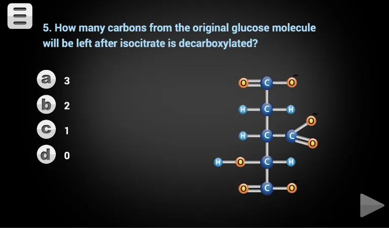 Biology Cellular Respiration L screenshot 3