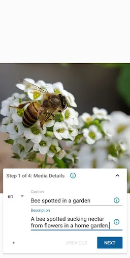 Wikimedia Commons screenshot 2