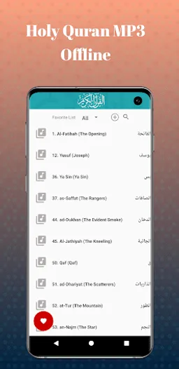 Mohamed Barak Quran Offline screenshot 1