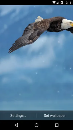 Eagle Live Wallpaper HD screenshot 8