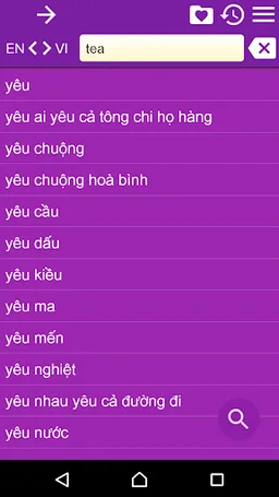 English Vietnamese Dict screenshot 5