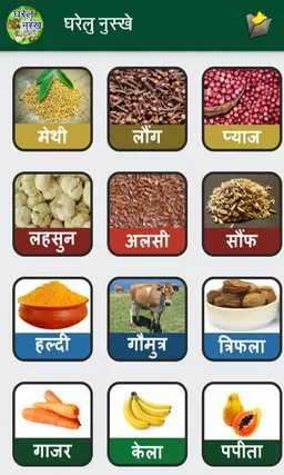 Gharelu Nuskhe in Hindi screenshot 3