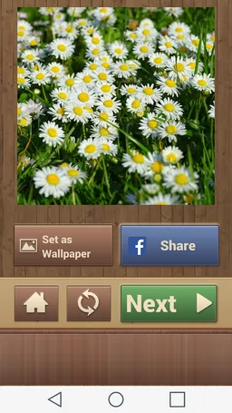 Nature Jigsaw Puzzles screenshot 7