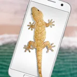 Lizard in phone funny joke icon