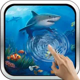 Interactive Shark icon