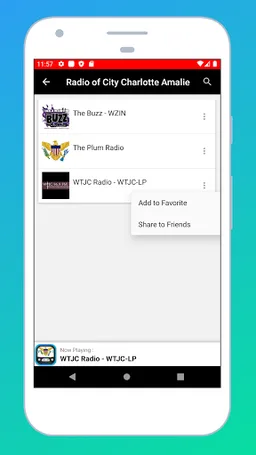Radio US Virgin Islands FM App screenshot 17