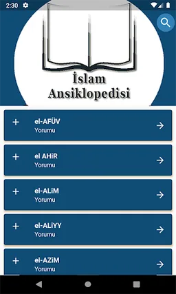 İslam Ansiklopedisi screenshot 4