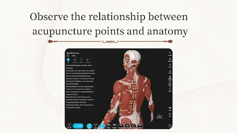 Acupuncture Master screenshot 15