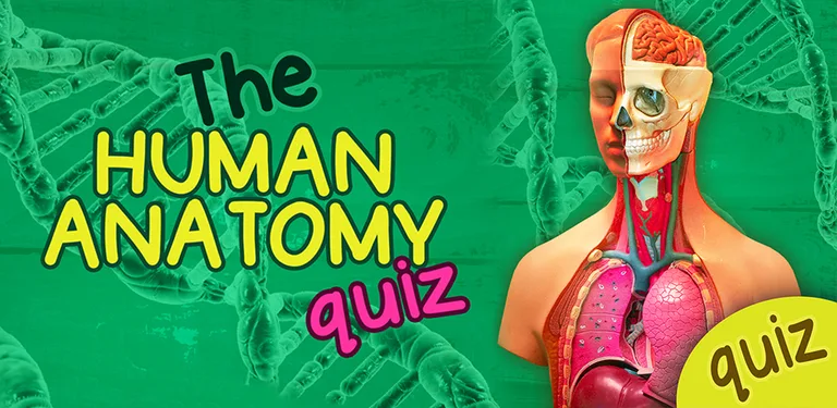 The Human Anatomy Quiz App On Human Body Organs cover image