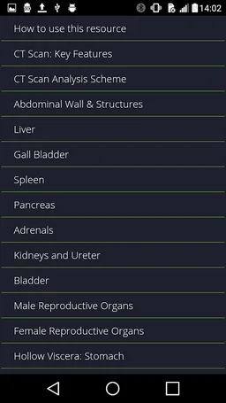 CT Abdomen screenshot 3