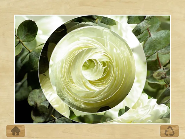 Photo Puzzles screenshot 5