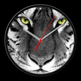 Photo Analog Clock Live Wallpaper-7 icon