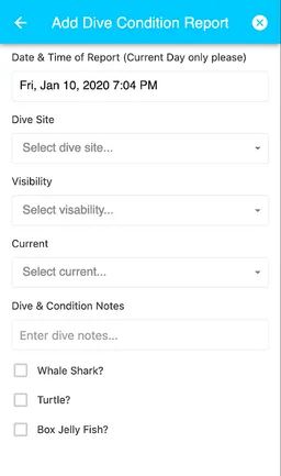 Koh Tao Dive Site Reports screenshot 2