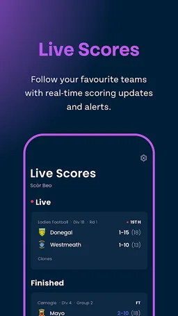 Gaelsport - GAA, LGFA, Camogie screenshot 6