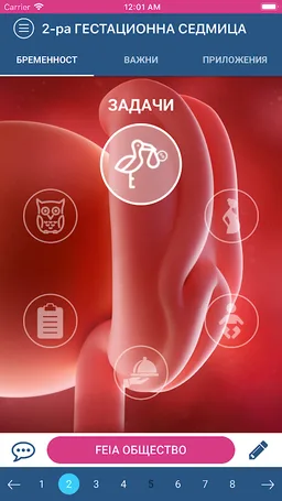 FEIA Pregnancy screenshot 2