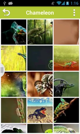 Animals Wallpapers screenshot 4