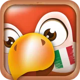 Learn Italian | Translator icon