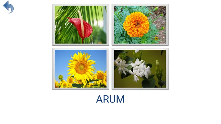 Flowers and Insects screenshot 5