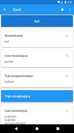 Polish Conjugation screenshot 1