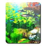 Perfecto Aquarium Real Fish HD icon