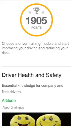 DT Driving Test Theory screenshot 6