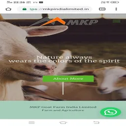 MKP India Limited screenshot 4