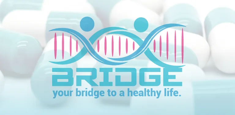 Bridge cover image