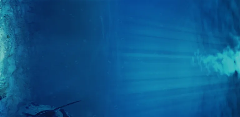 Bumble • Word Game • Anagrams cover image