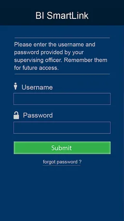 BI SmartLINK screenshot 5