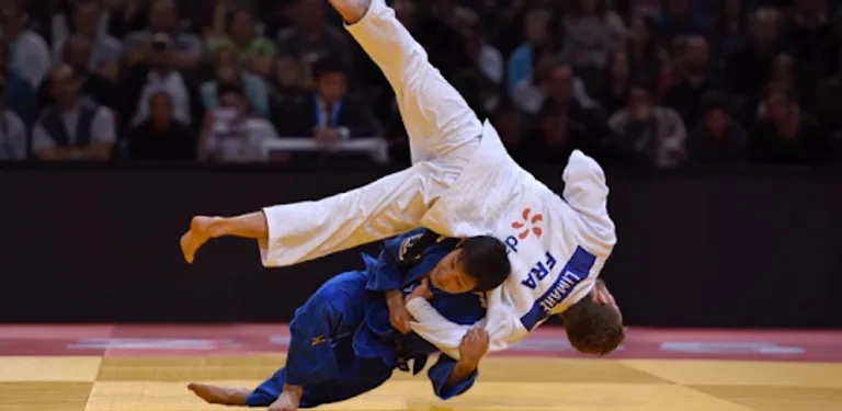 Judo Reference cover image