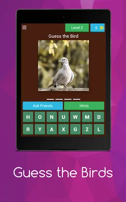 Birds guess screenshot 2