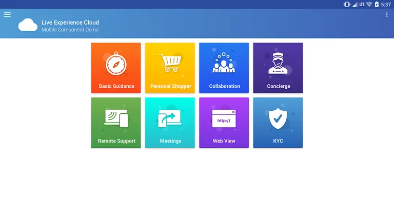 Oracle Live Experience Demo screenshot 6