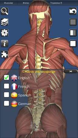3D Bones and Organs (Anatomy) screenshot 11