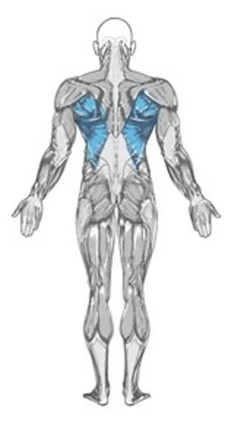 all lats exercices screenshot 1